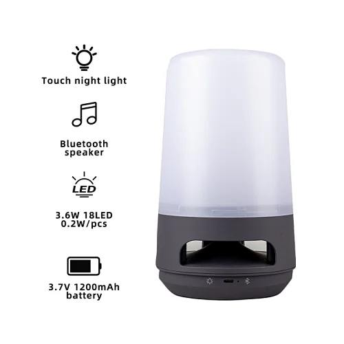 Hot Sale Professional Portable Smart Speaker Player